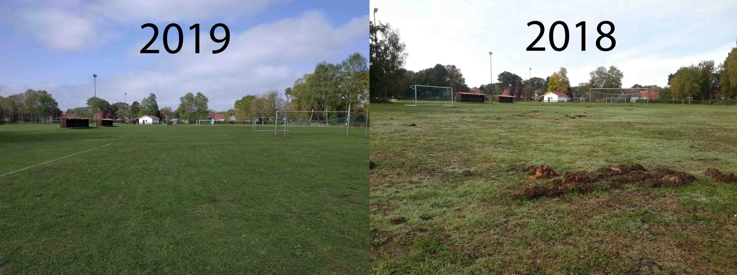 Mehr über den Artikel erfahren Unser Platzwart macht einen tollen Job!