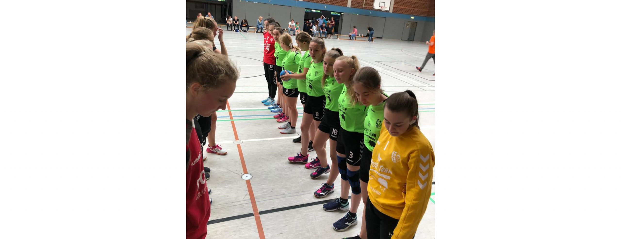 Mehr über den Artikel erfahren Handball-Mädels des TSV Hesel gewinnen sensationell!